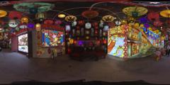 灯笼展 (16)